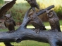 Bronzeskulptur "Fünf Eulen auf Baumstamm"