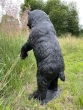Bronzeskulptur Stehender Bär von hinten auf einer Wiese