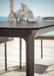 Bellmonde Tisch von Dedon 