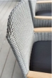 Zebra Novus Sessel Rückenlehne