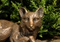 Edition Strassacker Bronzeskulptur "Fuchs, liegend"