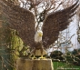 Gartenbronze Weisskopf Seeadler von Rottenecker Bronzekunst