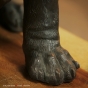 Pfote Bronzehund