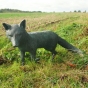 Bronzeskulptur Fuchs stehend auf einer Wiese