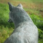 Bronzeskulptur Fuchs stehend von hinten