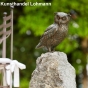 uhu sitzend Rottenecker Gartenfiguren