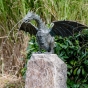 Rottenecker Bronzeskulptur "Drache Farina" als Wasserspeier