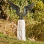 Seeadler mit offenen Flügeln