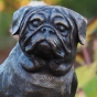 Bronzeskulptur Mops detail Foto vom Kopf 