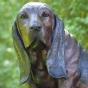 Basset Hundekopf