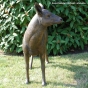 Bronzeskulptur Hirschkuh von vorne stehend im Garten 