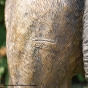Bronzeskulptur Hirschkuh mit brauner Patina und Signatur vom Künstler 