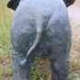 Baby - Elefant als Wasserspeier von Rottenecker.