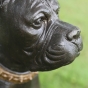 Bronzeskulptur "Deutscher Boxer - Hund"