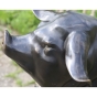 Bronzeskulptur "Hausschwein mit 4 Ferkeln"