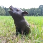 Seitenansicht der Bronzeskulptur "Kleines Ferkel"