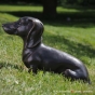 Bronzefigur Dackel