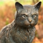 Rottenecker Bronzefigur Katze