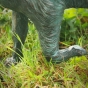 Bronzeskulptur Pfote von stehendem Fuchs mit grüner Patina 