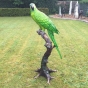 Bronzeskulptur mehrfarbiger Papagei