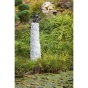 Drachenvogel Terrador wsp., 53 cm hoch