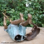 Bronzeskulptur Hugo mit Flöte und Scharf von unten mit Gewindebohrung 