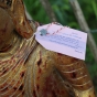 Varada-Mudra Buddhafigur - Holz - 110cm