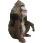 KARE Skulptur "Affe Mandrill"