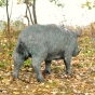 Rottenecker Schwein Bronzefigur