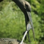 Kranich und Fisch als Wasserspiel