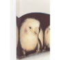 KARE Wandbild "Hund & Vogel Versammlung"