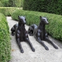 bronze hunde Eingang
