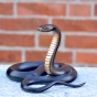 Ringelnatter Bronzeskulptur