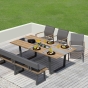 Zebra Phönix Bank und Gartentisch auf Terrasse
