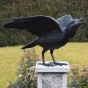 Rabe mit offenen Flügeln Gartenfigur