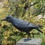Rabe Gartenfigur Taubenschreck