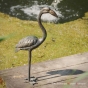 Rottenecker Flamingo