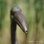 Bronzefigur Flamingo