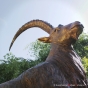 Bronzeskulptur Steinbock mit Geweih