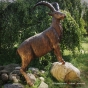 Bronzeskulptur Steinbock Rottenecker