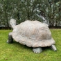 Edition Strassacker Bronzeskulptur "Schildkröte" von Michael Brettschneider - limitiert