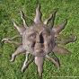 Sonne mit Gesicht.
