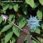 Sonnenuhr Versailles Ludwig der XIV. Bronzefiguren und Gartenfiguren bei Kunsthandel Lohmann in Timmendorfer Strand.
