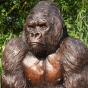 Gorillaskulptur aus Bronze