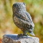 Bronzeskulptur Federkleid Eule