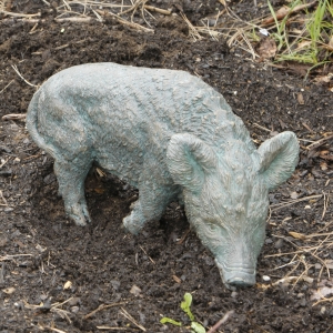 Bronzeskulptur „Frischling, rechts schauend“ von Rottenencker