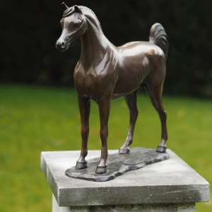 Bronzeskulptur Araber Pferd stehend auf Sockel 