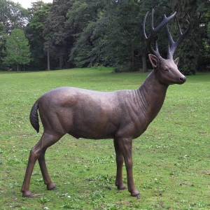 Bronzeskulptur Stehender Hirsch im Sommerhaarkleid mit brauner Patina