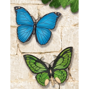 Edition Strassacker Bronzeskulptur "Vogelfalter und Blauer Morphofalter" - Set
