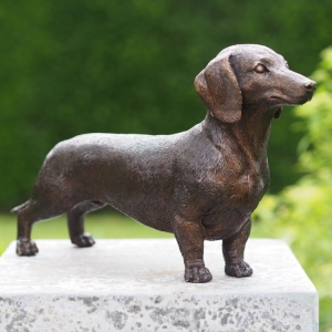 Bronzeskulptur "stehender Dackel"